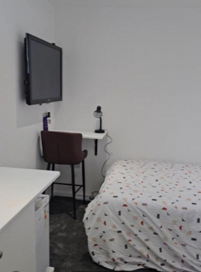 The White Studio